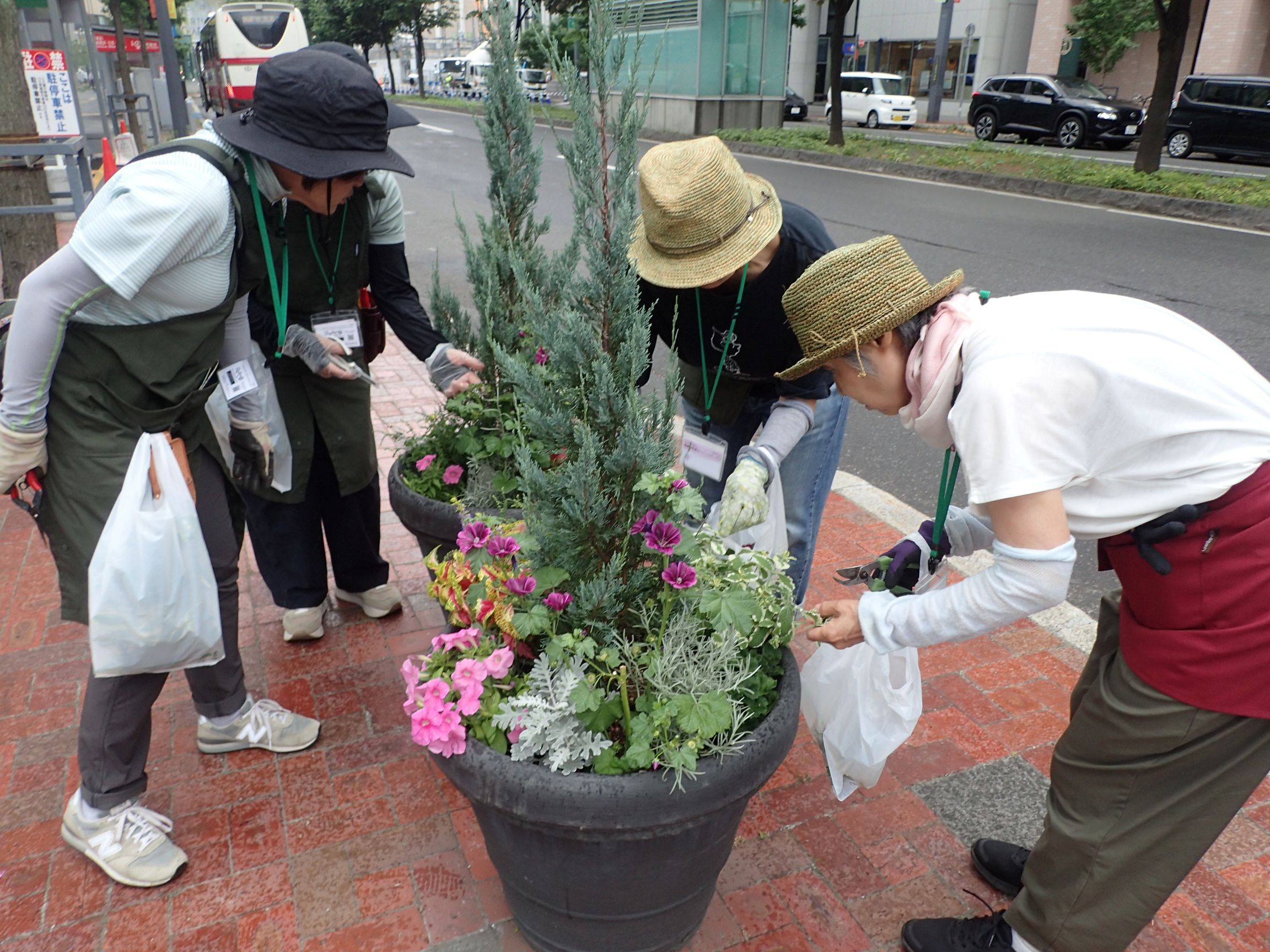 メンテナンスのようす_1