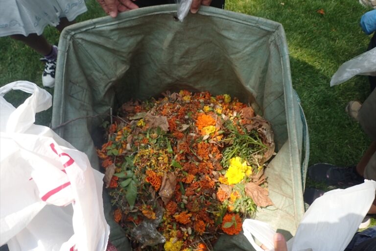 生徒さんが集めた花がらやごみ