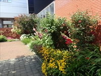 NPO法人　白石ネット