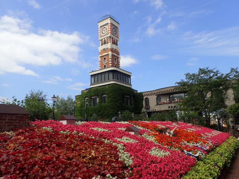 ベゴニアの屋根植栽