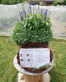 演奏者周りの装飾