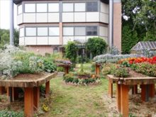 ガーデン中央部のレイズドベッド