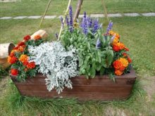 ガーデン周りの寄せ植え