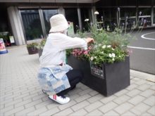 メンテナンスの様子