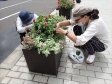 メンテナンスの様子