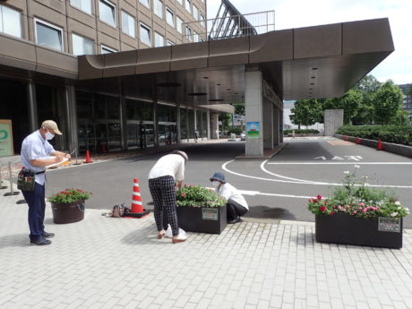 補植検討の様子