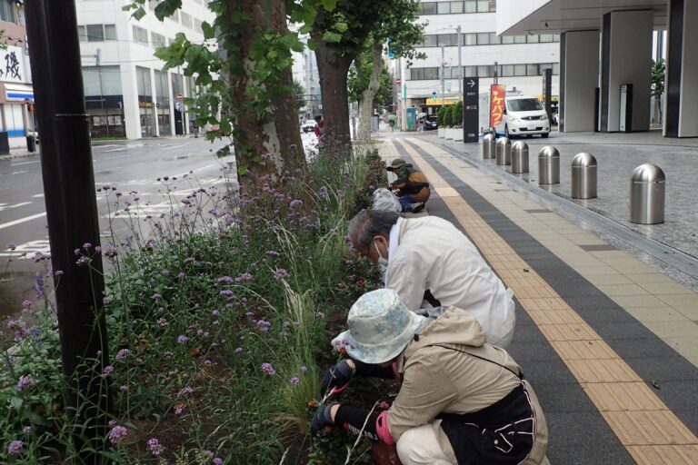 並んで活動する様子