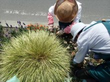 メンテナンス作業の様子