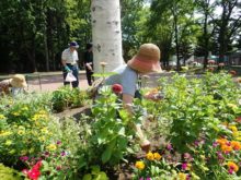 メンテナンスの様子