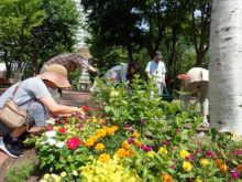 皆さんの作業の様子