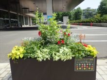 ライラック班のコンテナの様子