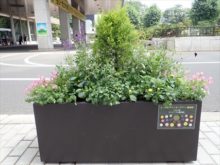 アネモネ班のコンテナの様子