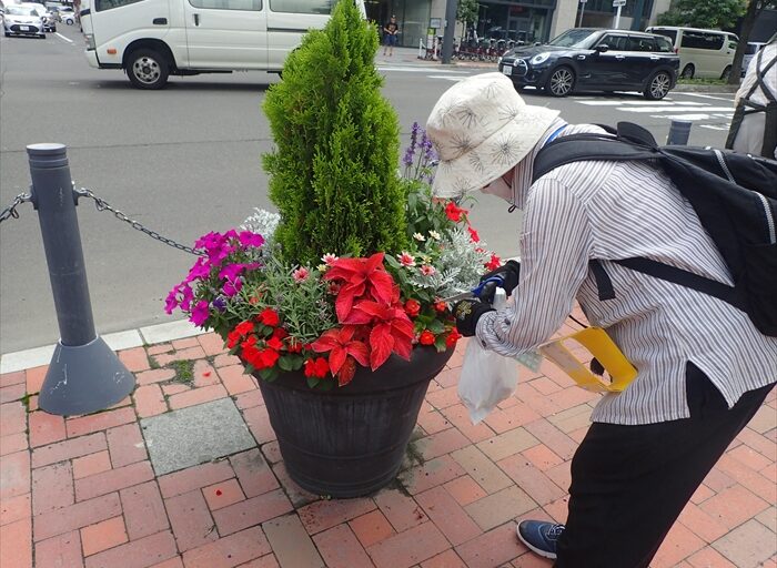 メンテナンスのようす