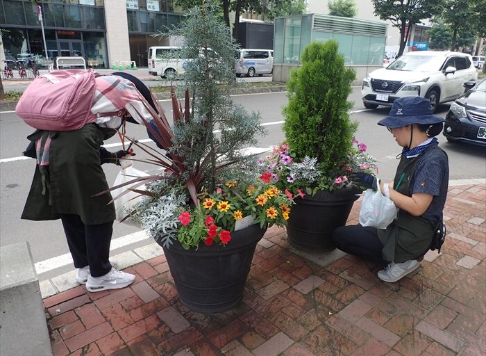 札幌駅前通ストリートガーデンのメンテナンスのようす