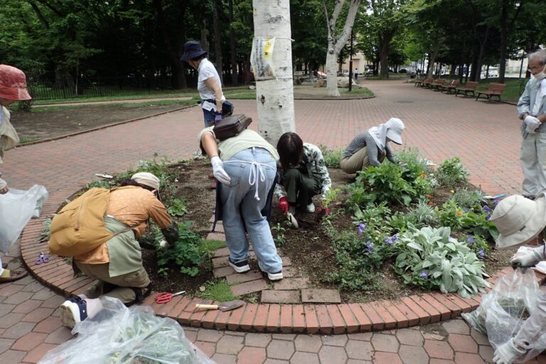 シラカバ周りの宿根草花壇で草取りを行っている様子