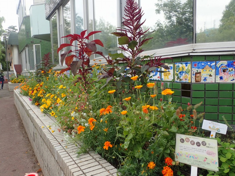 手入れ後の花壇