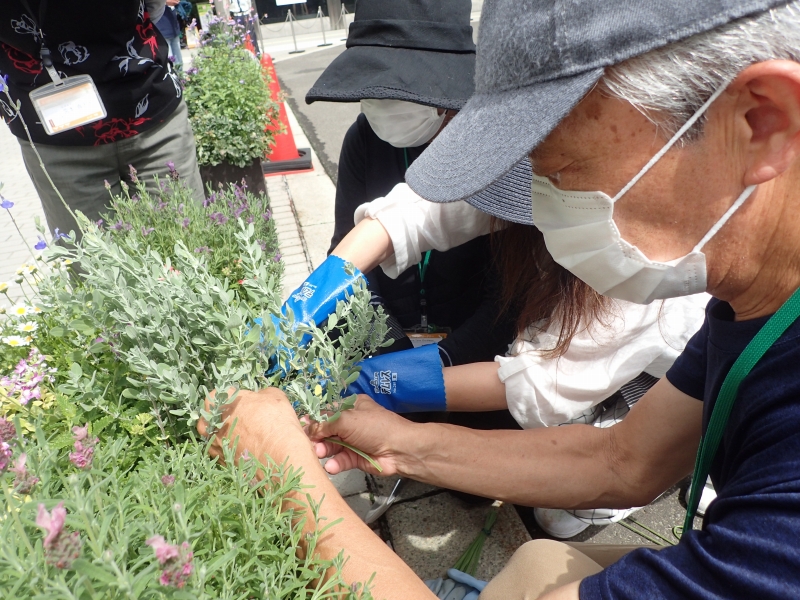 指導を受けて支柱を立てるようす