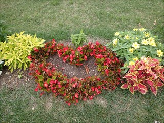 ハート型の植栽