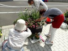 補植している様子