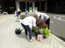 補植している様子