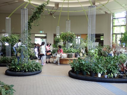 温室の中の様子