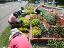 公園入口の花壇