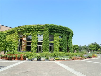ツインキャップの温室前の様子