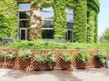 ツインキャップ入口周辺のハンギングバスケット