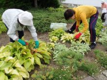 メンテナンスの様子