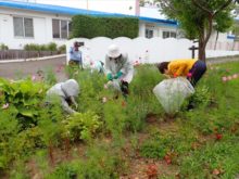 第2のゆめガーデンのメンテナンス作業