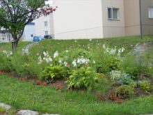 第2のゆめガーデン