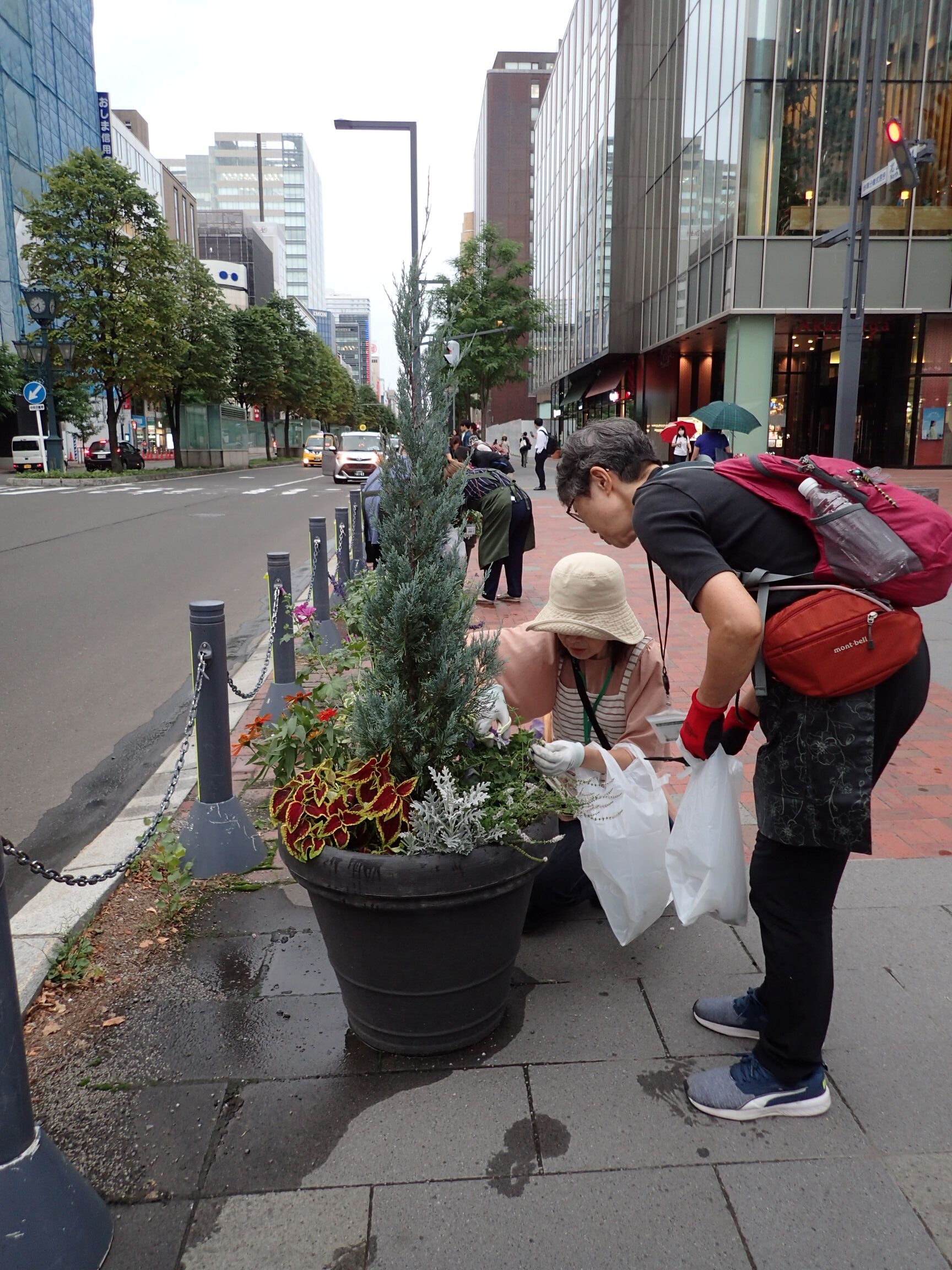 メンテナンスのようす