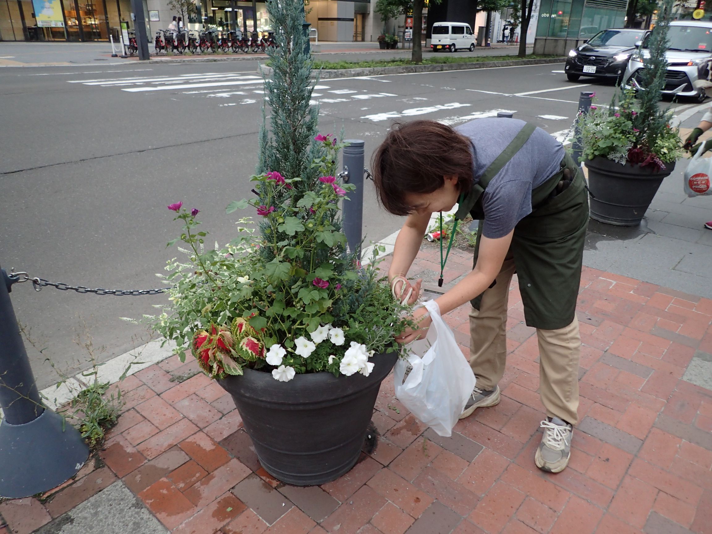 メンテナンスのようす
