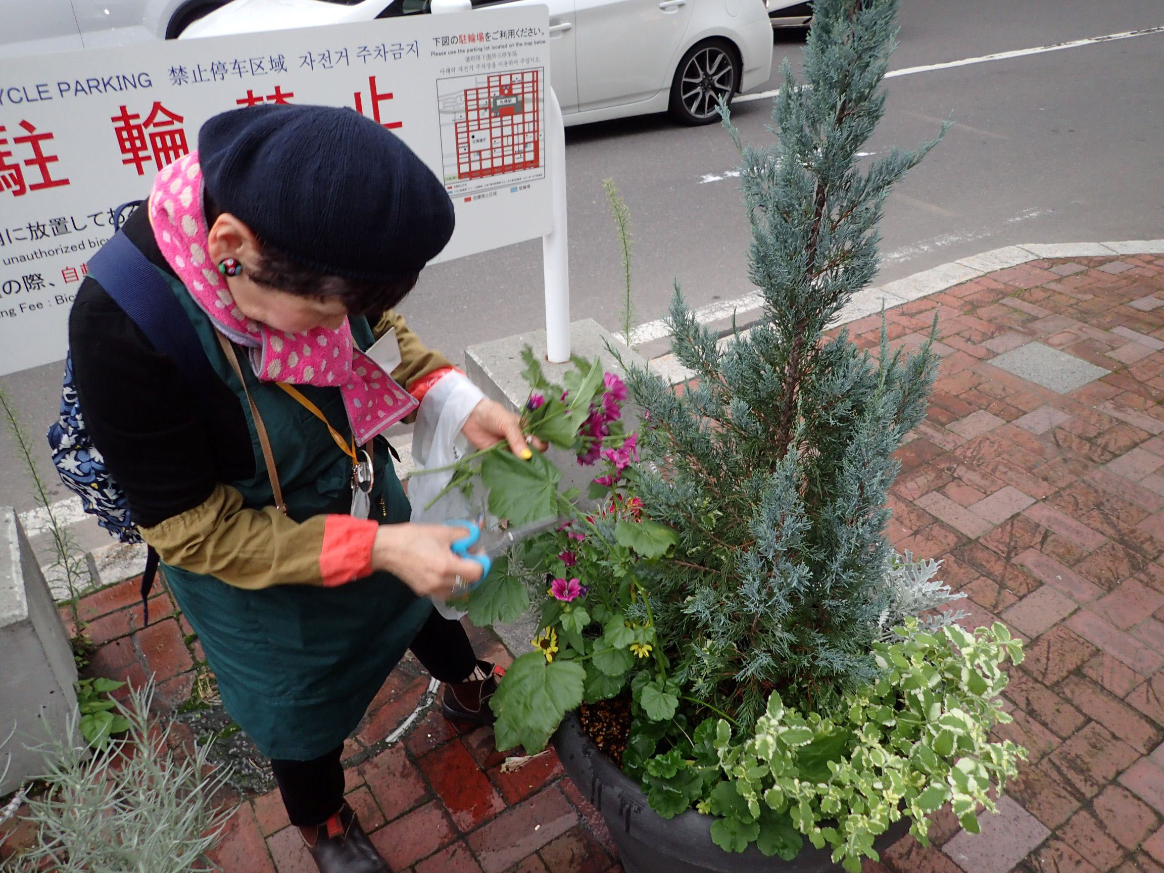 メンテナンスのようす