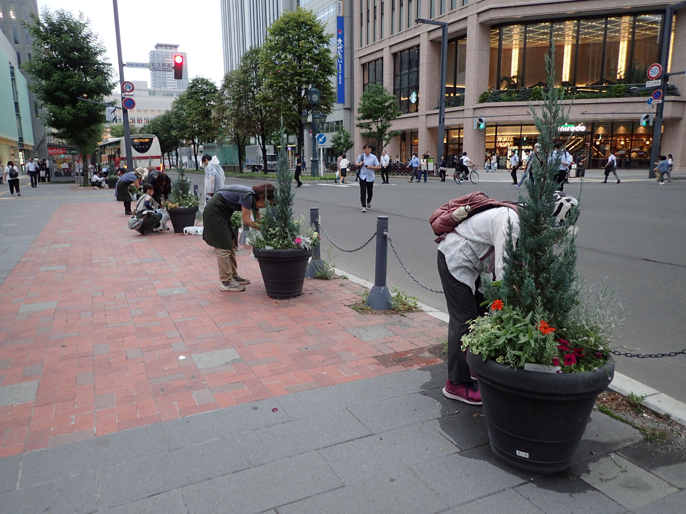 札幌駅前通ストリートガーデンのメンテナンスのようす（全景）