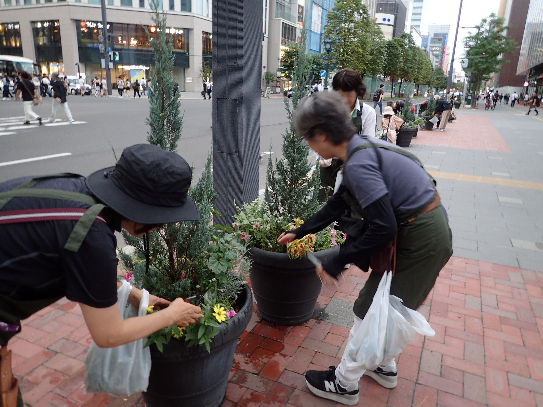 メンテナンスのようす