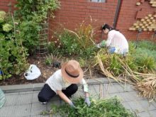 花期の終わった植物を切っているところ