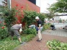 花期の終わった植物をきっているところ