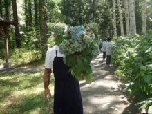 摘み取ったアジサイを抱えたメンバーさん