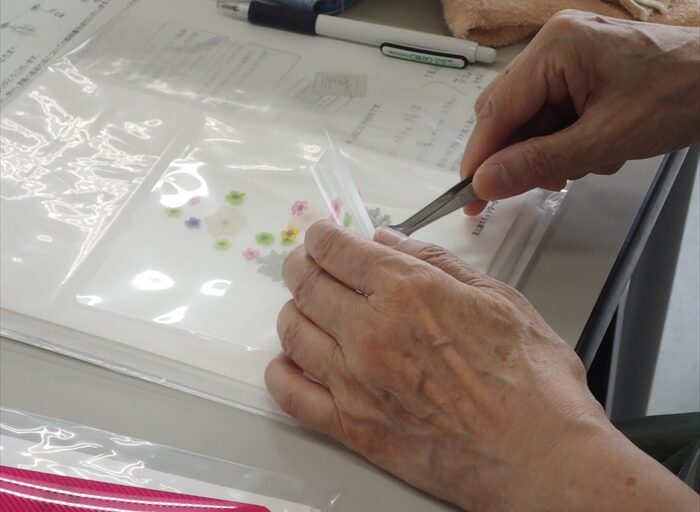 押し花の志桜里を作っている