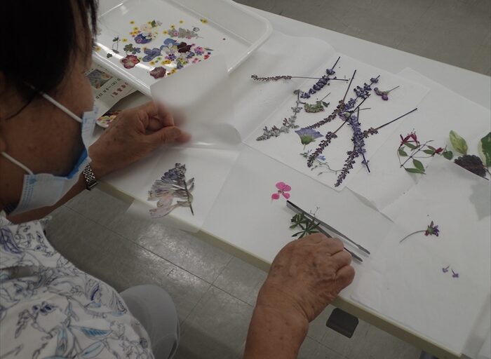 押し花クラフトの様子