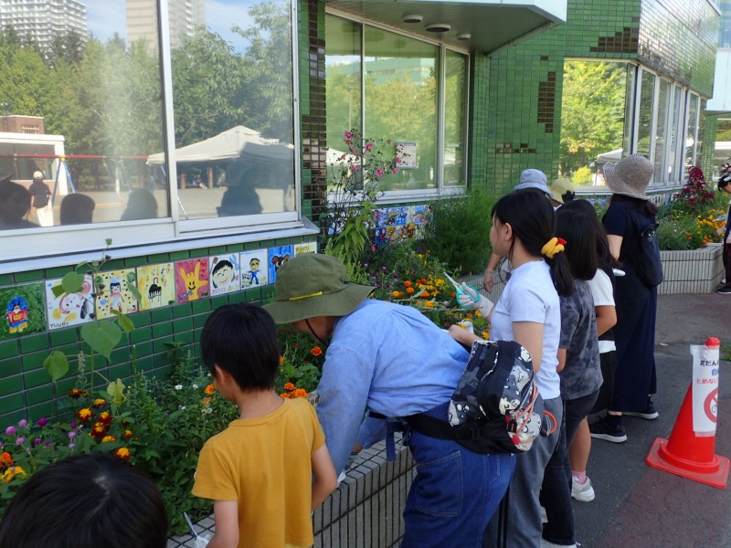 花壇の花を切っている