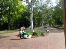 手入れ時の花壇の周囲の様子