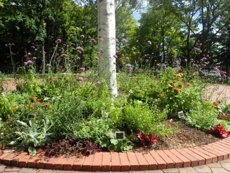 手入れの後の円形花壇