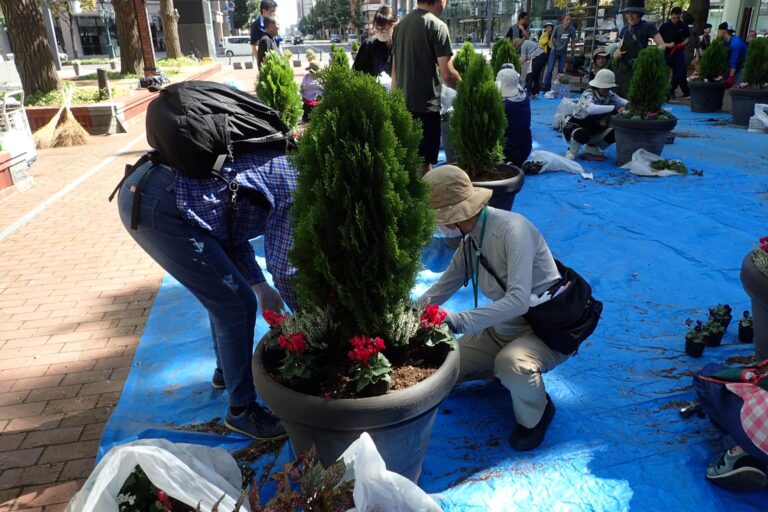 協力し合って植替えしている様子