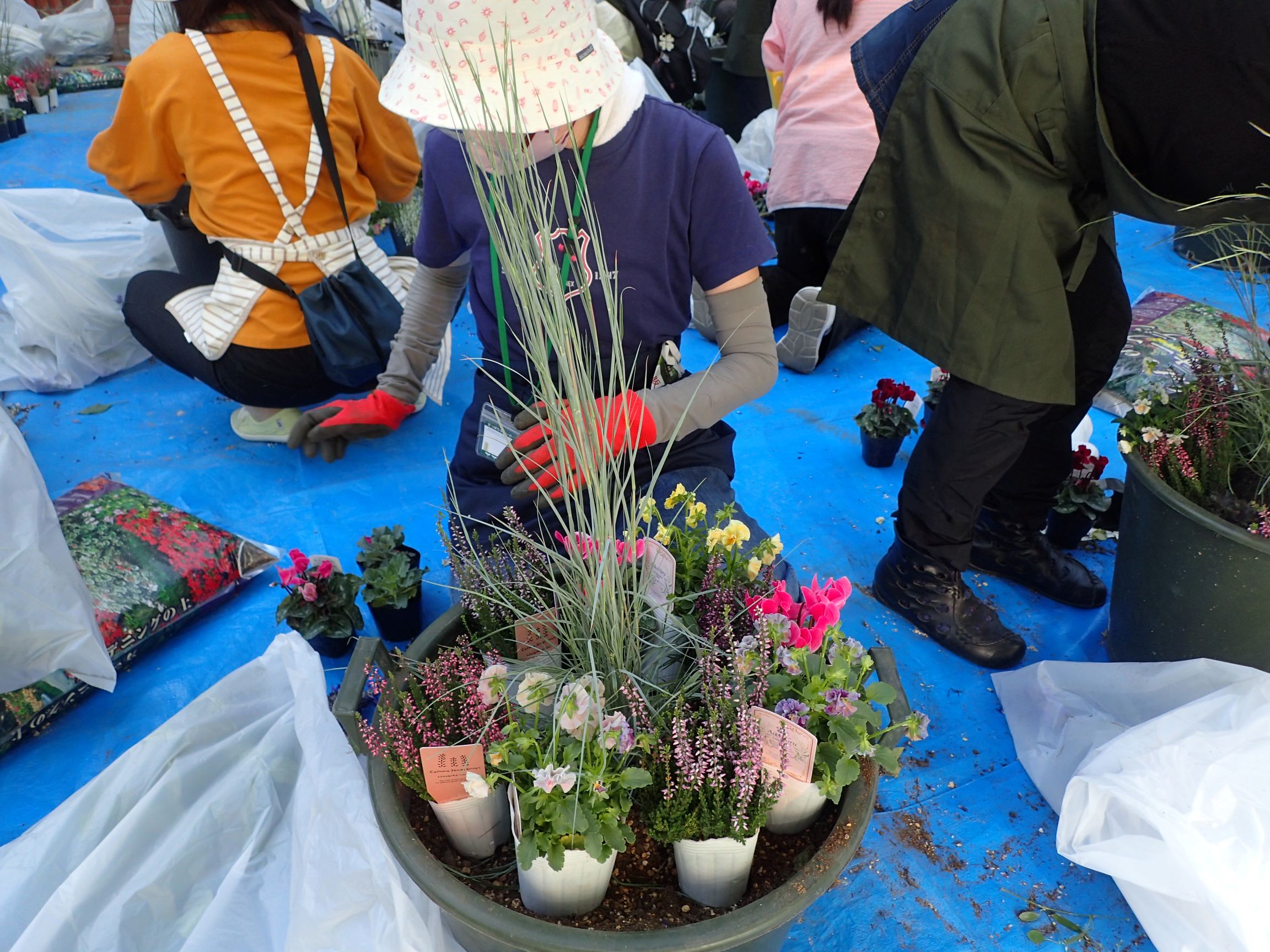 植栽のようす_2