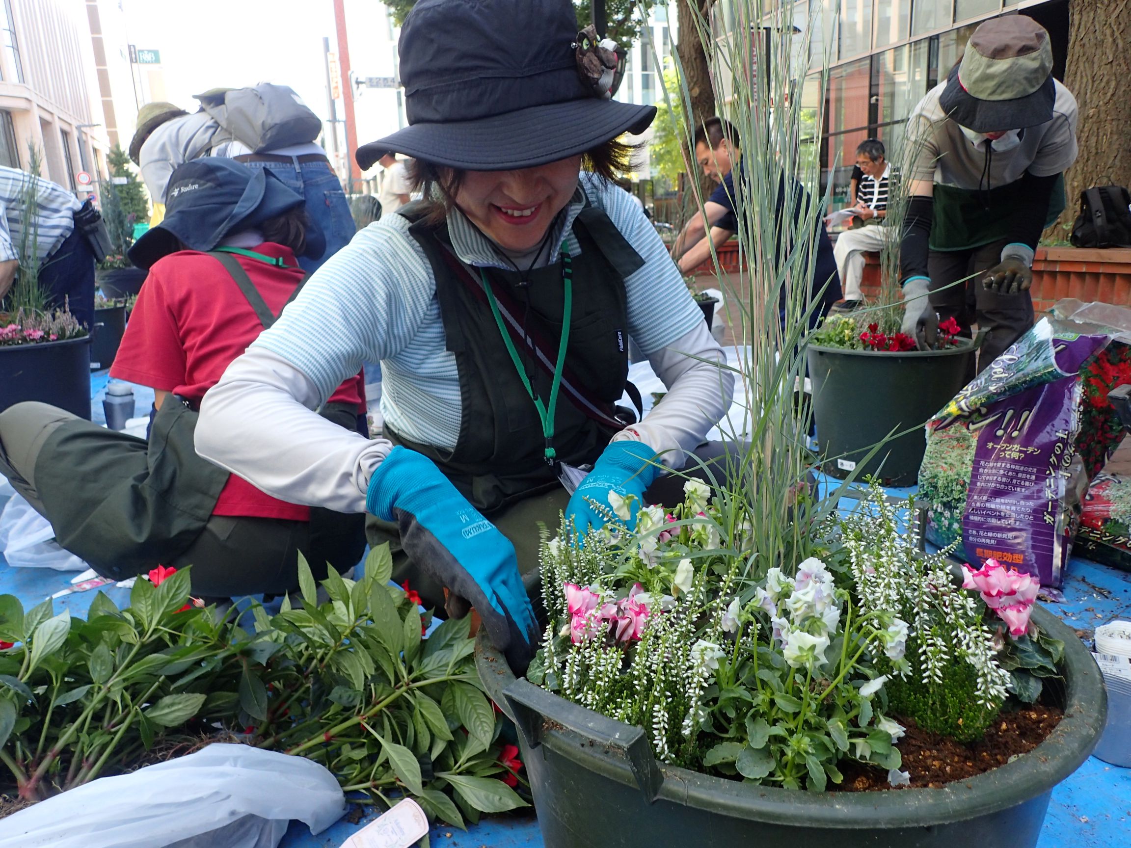 植栽のようす_4