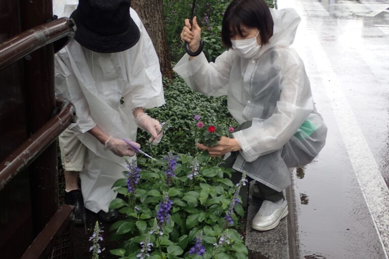 ちょいボラ体験の様子