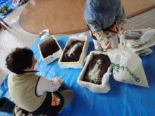 土の用意をしているところ