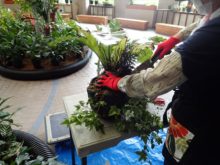 ハンギングバスケットの解体